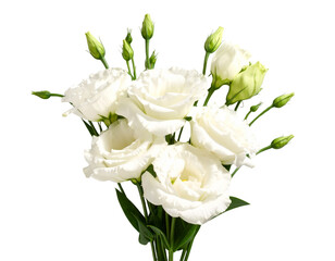 Bouquet of Five White Lisianthus Flowers with Green Stems and Buds, front view, isolated on transparent background PNG