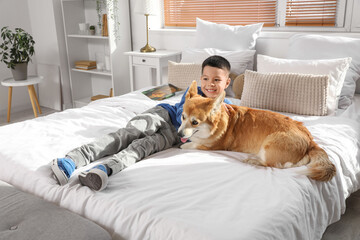 Little happy Asian boy with cute Corgi dog lying on bed at home
