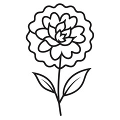 tagetes patula nana sline art  vector  isolated on white