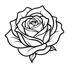 tea rose vector line art on white 