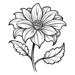 tithonia fruticosa line art vector on white