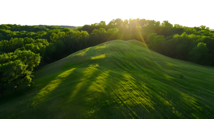 Sunbeams illuminate rolling green hills and lush forest canopy creating a peaceful, serene natural landscape scene.