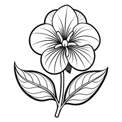  torenia bicolor line art  vector illustration  on white