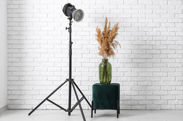 Modern photo studio with floral decor in vase and professional lightening equipment