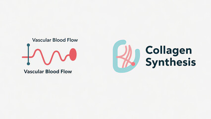 The icon of vascular blood flow and collagen synthesis represents optimizing blood circulation and stimulating collagen production, used in cardiovascular care and skin anti-aging scenarios.