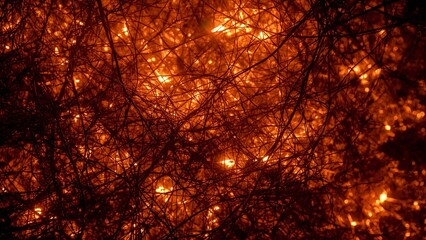 Glowing sunlight filtering through dense branches and twigs in woodland thicket, orange highlights