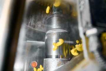 Pasta extrusion process in a modern kitchen during daylight hours with yellow macaroni shapes being...