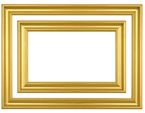 Classic double gold picture frame with an elegant molded profile and a brushed metallic finish.