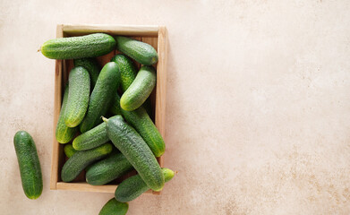 Fresh cucumbers in wooden box. Copy space. Top view.