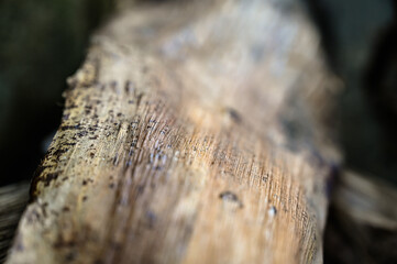 abstract pattern of a dried leaf, organic texture of a dead plant, dry banana tree trunk texture, abstract patterns of banana sheath, organic and fibrous banana fiber