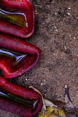 dry banana heart texture close up, an abstract pattern of a banana blossom, natural fibrous plant detail

