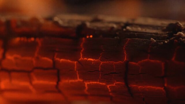 Close-up of glowing embers in a burning log, revealing intricate patterns of heat and crackling wood.