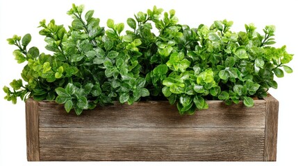 Fototapeta premium Rustic Wooden Planter with Lush Green Artificial Greenery