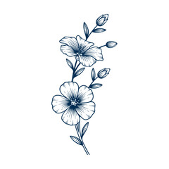 Blue flax flower hand drawn illustration. Blue flax flower vector line art