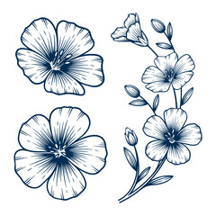 Set of blue flax flower hand drawn illustration. Blue flax flower vector line art collection