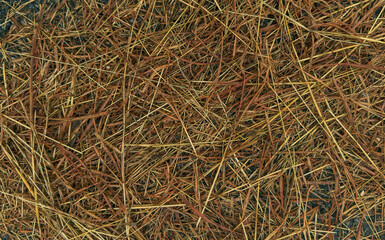 Close-up of dry straw on the ground with natural brown and golden tones — organic texture perfect...