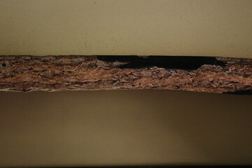 Natural Wood Beam and Earthen Wall in Japanese Interior
