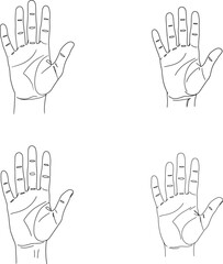 Fototapeta premium Hand Drawn Illustration of Four Open Hands in Different Positions on White