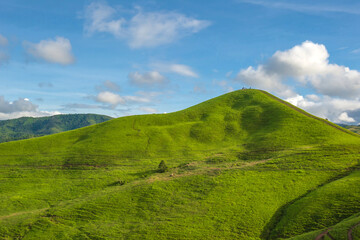 Obraz premium nature landscape