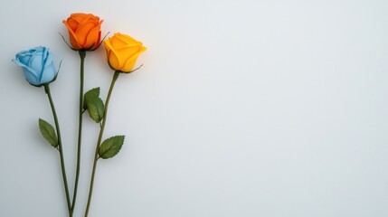Obraz premium Three Colorful Roses on White Background