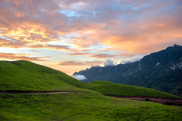 nature landscape