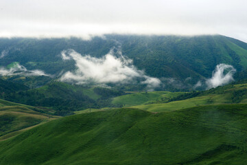 nature landscape