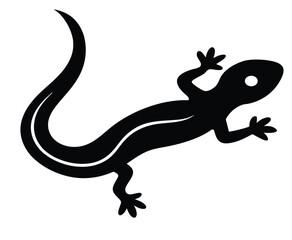 Obraz premium Charming salamander silhouette icon with colorful elements