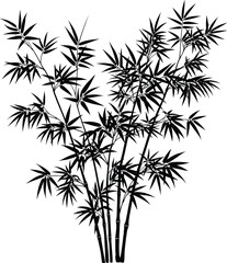 Silhouette of bamboo plant cluster, black and white bamboo stalks, botanical leaves design isolated on white background