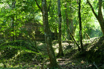 naturaleza