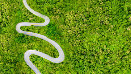 Top view of road forest atmosphere area, Texture background forest tree view from above, Ecosystem ecology environment, Green forest and green tree.