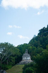 naturaleza