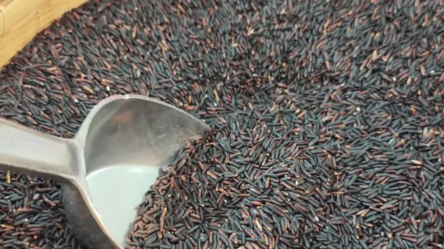 Riceberry rice in a rice basket