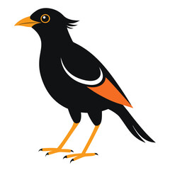 Stylized black bird with orange accents and yellow beak