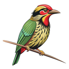 Colorful bird perched on a branch illustration