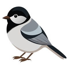 Cute cartoon black capped chickadee bird illustration