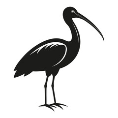 Black silhouette of an ibis bird with a long curved beak