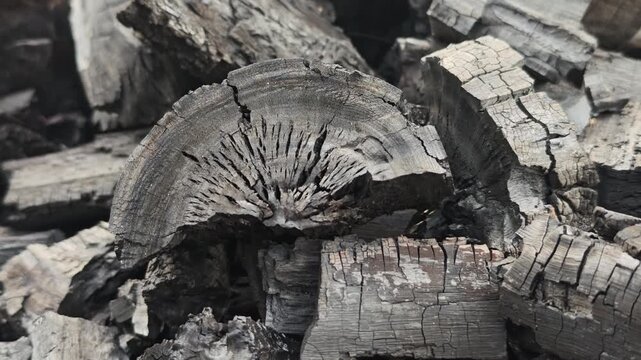 Natural wood charcoal, traditional charcoal or non smoke and odorless charcoal hard wood charcoal 
