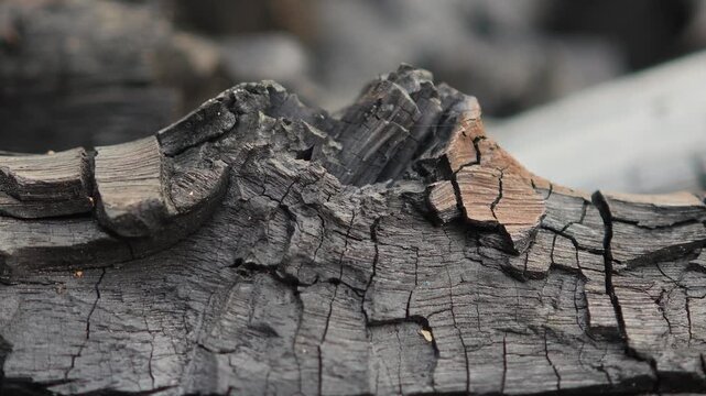 Natural wood charcoal, traditional charcoal or non smoke and odorless charcoal hard wood charcoal 
