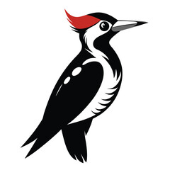 Stylized woodpecker illustration with red crest