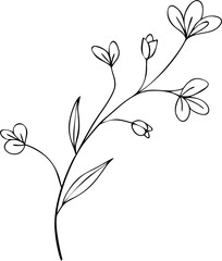Minimal continuous-line botanical stem with leaves and small flowers, elegant black outline floral drawing, modern vector EPS isolated on white