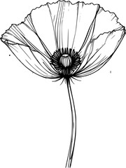 Obraz premium Line art tracing lotus flower