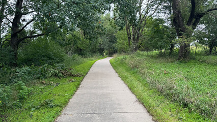 Obraz premium Trail Through the Woods