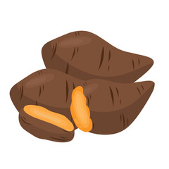 Brown Sweet Potatoes, Halved and Whole, Nutrient-Rich Food, Vector Illustration