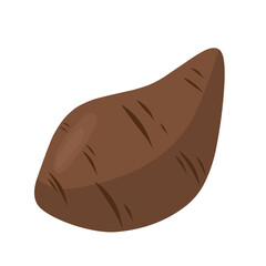 Sliced Sweet Potato: Brown Skin, Orange Flesh, Abstract Vector Illustration