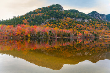 Echo Lake Autumn Reflection at Artist Bluff, Franconia, New Hampshire