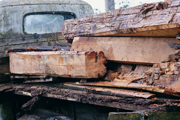 Stacked logs on an old truck in a forest setting during a cloudy day