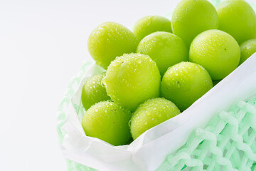 シャインマスカット　白バック