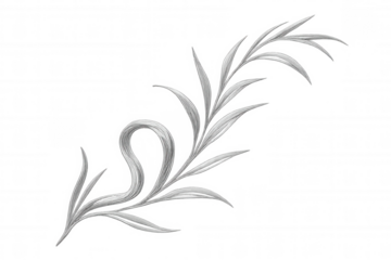 Silver floral ornament isolated on transparent background, ideal for adding a touch of elegance to various design projects