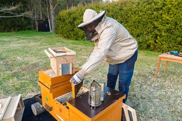 A beekeeper in protective gear inspects frames from a hive, ensuring honey production and hive...