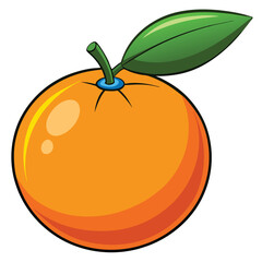 vector illustration of orange fruit